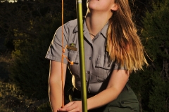 Laura setting a guy stake for the mist net